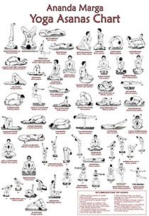 asanas6